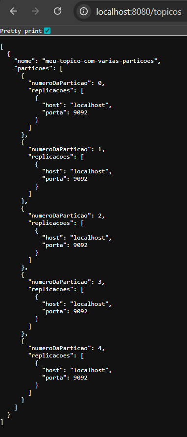 Exibindo a tela do Chrome mostrando o tópico criado com 5 partições.